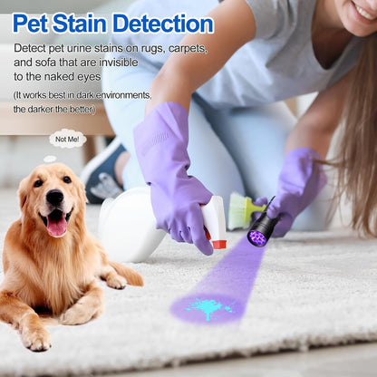 UV Light 395nm Blacklight Flashlight: Vansky 12 LED Black Light Mini Pet Urine Detection for Invisible Dog/Cat Dried Urine Stains on Carpet, Scorpion Finder, Resin Curing